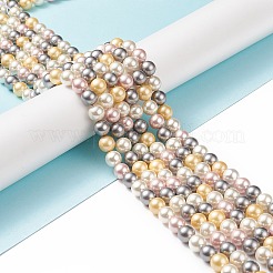Cuentas perlas de concha de perla&nbsp;LS-BSHE-L017-17