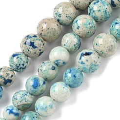 Rangs de perles fossiles naturelles de taille graduée&nbsp;G-F830-A03-01E