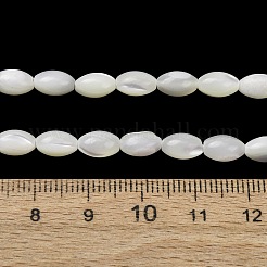 Natürliche Trochidschale / Trochusschalenperlenstränge&nbsp;SH-CBA2978-09