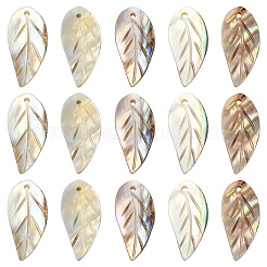 10 шт. подвески из натуральной пресноводной ракушки&nbsp;SHEL-YW0001-10