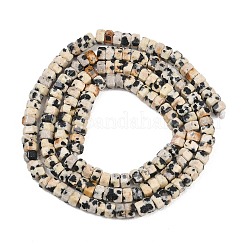 Природные яшмы далматин бисер нитей&nbsp;G-G345-C14-2x4mm