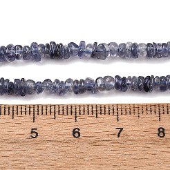 Naturperlen Stränge iolite&nbsp;G-K427-C01-01