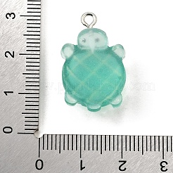 Прозрачные смоляные подвески&nbsp;FIND-U030-02P