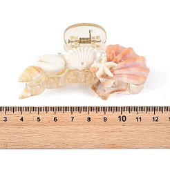 Haarspangen aus Naturmuscheln in Form von Muscheln und Seesternen&nbsp;PHAR-TA000008