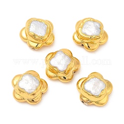Perlas de flores de perlas keshi naturales de estilo barroco, Plateado de larga duración, con oro chapado fornituras de latón, color de concha, 19~19.5x20~20.5x11.5~12mm, agujero: 1 mm