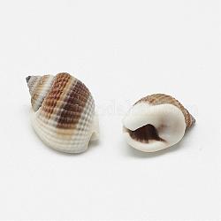 Perles de coquillage en spirale naturelle, sans trou, 10~15x5~10x5~10mm, environ 1110 pcs/500 g