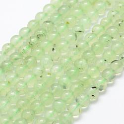 Chapelets de perles en préhnite naturelle, ronde, 6mm, Trou: 1mm, Environ 67 pcs/chapelet, 15.3 pouce (39 cm)