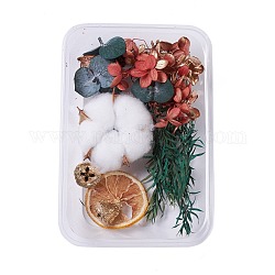 Flores secas, accesorios para hacer jabones de velas diy, con caja de plástico rectangular, color mezclado, 1.65~15.5x1.8~5.8 cm