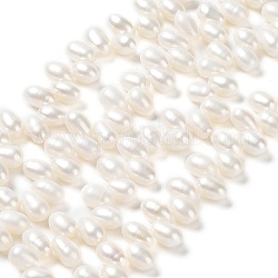 Fili di perle di perle d'acqua dolce coltivate naturali, grado 5 un, riso, vecchio pizzo, 8~9x6~7mm, Foro: 0.1 mm, circa 83~84pcs/filo, 16.26 pollice (41.3 cm)