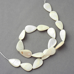 Chapelets de perles en coquillage naturel, larme, blanc crème, 21~22x13~14x3~4mm, Trou: 1.5mm, Environ 18 pcs/chapelet, 15.3