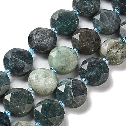 Chapelets de perles en chrysocolle naturelle, avec des perles de rocaille, coupe hexagonale facettée, plat rond, teinte, 12~12.5x5~6mm, Trou: 1.2~1.4mm, Environ 27~29 pcs/chapelet, 15.55~15.75 pouce (39.5~40 cm)