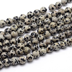 Jaspe dalmatien naturelle chapelets de perles rondes, 10mm, Trou: 1mm, Environ 40 pcs/chapelet, 16 pouce