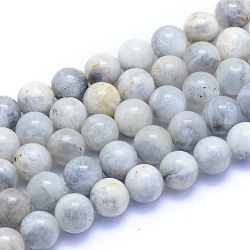 Fili di perline di pietra di luna grigia naturale, tondo, 10mm, Foro: 0.8 mm, circa 39pcs/filo, 15.35 pollice (39 cm)