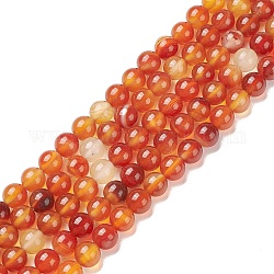Chapelets de perles en cornaline naturelle, ronde, 8mm, Trou: 0.7mm, Environ 48 pcs/chapelet, 14.96 pouce (38 cm)