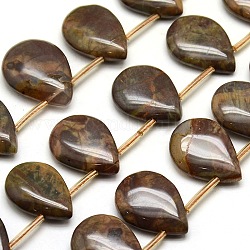 Teardrop Natural Multi-Color Agate Beads Strands, 20x10~15x5mm, Hole: 1mm, about 23pcs/strand, 15.7 inch
