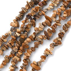 Chapelets de perles en jaspe avec images naturelles, puce, 1.5~4.5x3~13x2.5~8mm, Trou: 0.6mm, 30.94~31.97 pouce (78.6~81.2 cm)