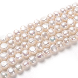 Hebras de perlas de agua dulce cultivadas naturales, patata, blanco, 8~9x9~10mm, agujero: 0.6 mm, aproximamente 36~37 pcs / cadena, 13.58~13.78 pulgada (34.5~35 cm)