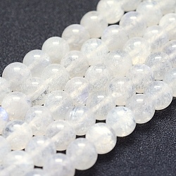 Natural Rainbow Moonstone Beads Strands, Grade AA, Round, 8mm, Hole: 1mm, about 49pcs/strand, 15.5 inch(39.5cm)