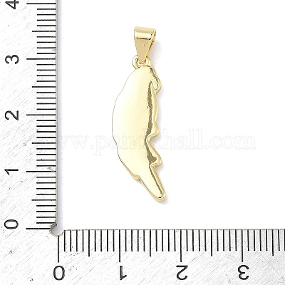 Латунь эмаль подвески&nbsp;KK-P349-04G-1