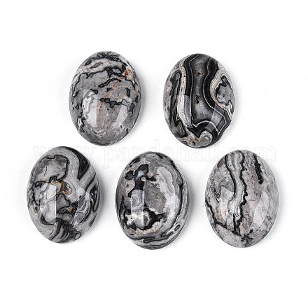 Кабошоны из натурального камня&nbsp;G-T144-76B-1