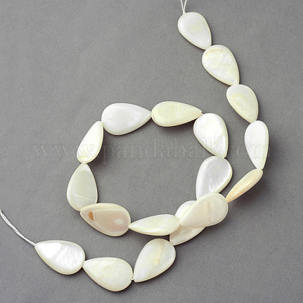 Chapelets de perles en coquillage naturel X-SSHEL-Q296-43-1