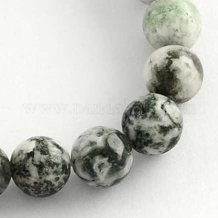 Fili di perline rotonde di pietre preziose rotonde di agata naturale G-R255-10mm-1