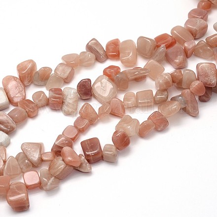 Chapelets de perles de sunstone naturelle naturelles X-G-O050-12-1