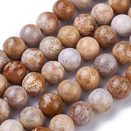 Fossiles naturelle perles de corail brins G-G779-03A-1