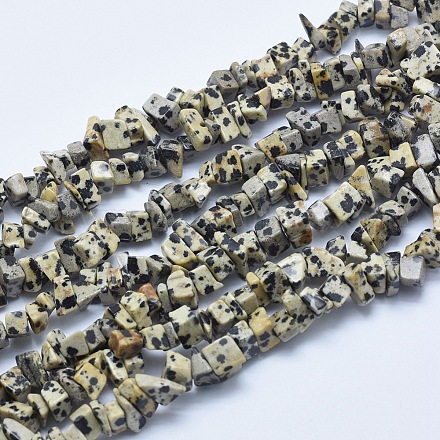 Chapelets de perles en jaspe dalmatien naturelle X-G-E446-27C-1