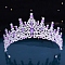 Alloy Rhinestone Crown Hair Bands for Woman Girls, Wedding Party Decoration, Violet, 140mm