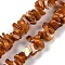 Natural Shell Beads Strands, Chip, Chocolate, 2~10x5~16x4~15mm, Hole: 1mm, 15.59''(39.6cm)