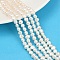 Natural Cultured Freshwater Pearl Beads Strands, Two Sides Polished, Grade 6A++, Seashell Color, 4~5mm, Hole: 0.7mm, about 70~71pcs/strand, 33~33.3cm