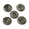 Natural Labradorite Pendants, Donut/Pi Disc Charms, 29.5~30.5x7.5~8mm, Hole: 6.3~6.5mm