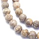 Natürliche Muschel fossile Perlen Stränge G-K310-A07-8mm-3