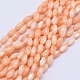 Chapelets de perles en coquille teintées BSHE-E023-01A-1