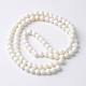 Coquille naturelle brins de perles rondes BSHE-O016-A-03-2