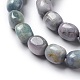 Natural Kunzite Beads Strands G-K331-005D-3