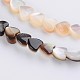Heart Natural Pink Shell and Black Shell Beads Strands SSHEL-K007-03-2