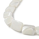 Fili di perle di conchiglia trochid naturale / trochus BSHE-G033-01-3