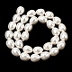 Fili di perle di conchiglie galvanizzate&nbsp;BSHE-B008-04-2