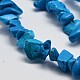 Chips Synthetic Turquoise Beads Strands G-N0134-03A-2