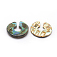 Perles de coquillage paua naturel X-SSHEL-G020-30-20mm-2