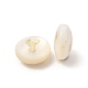Perles de coquillages naturels d'eau douce BSHE-E026-02-3