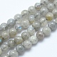 Natural Labradorite Beads Strands G-E483-09-4mm-1