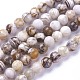 Chapelets de perles en bois pétrifié amérique naturelle G-P430-08-B-2
