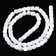 Fili di perle di conchiglia trochid naturale / trochus SSHEL-N034-121-B01-2