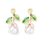 Подвески из эмали и сплава FIND-M060-22G-03