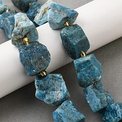 Fili grezzi grezzi di perline di apatite naturale, pepite, con perline semi, 14~28x15~25x10~27mm, Foro: 1.2~1.4 mm, circa 9~10pcs/filo, 7.76''~8.07'' (19.7~20.5 cm)