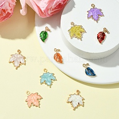 10шт 10 стиля подвески из цинкового сплава&nbsp;ENAM-YW0004-32