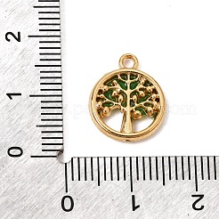 Pendentifs en acier inoxydable 304 émaillés&nbsp;SA-CBAA9A2-11G-04